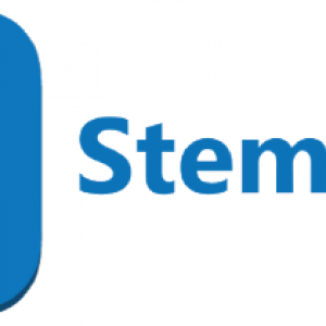 Logo Stempunt